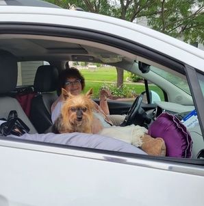 Meet your Posher, Joanne